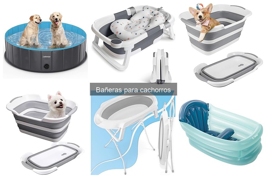 Bañeras para cachorros: precios y dónde comprarlas