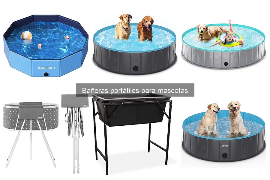 Bañeras portátiles para gatos: ¿son efectivas y útiles?