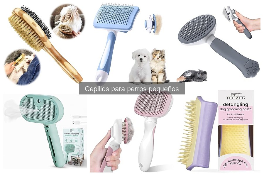 Beneficios de cepillar a perros pequeños: salud y bienestar