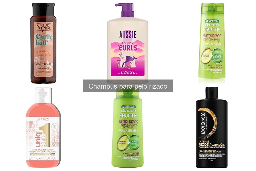 Beneficios de Champús para Pelo Rizado en Mascotas