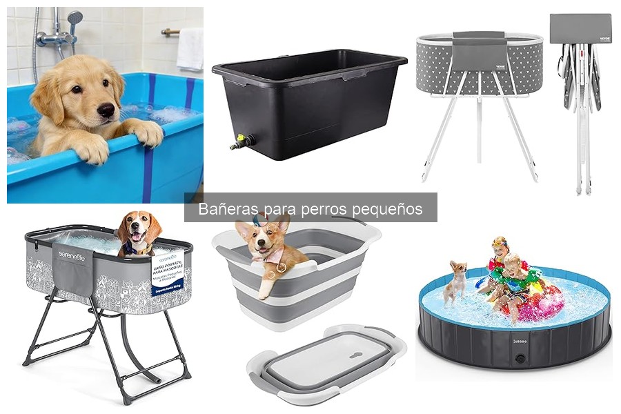 Beneficios de las bañeras para perros pequeños en casa