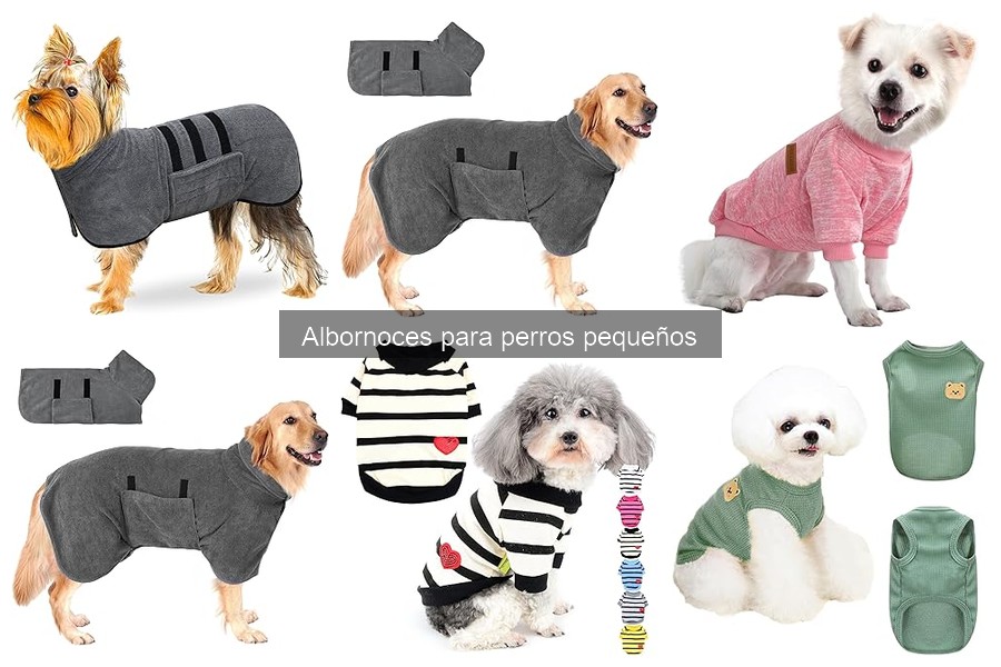 ** Beneficios de los Albornoces para Perros Pequeños en Casa