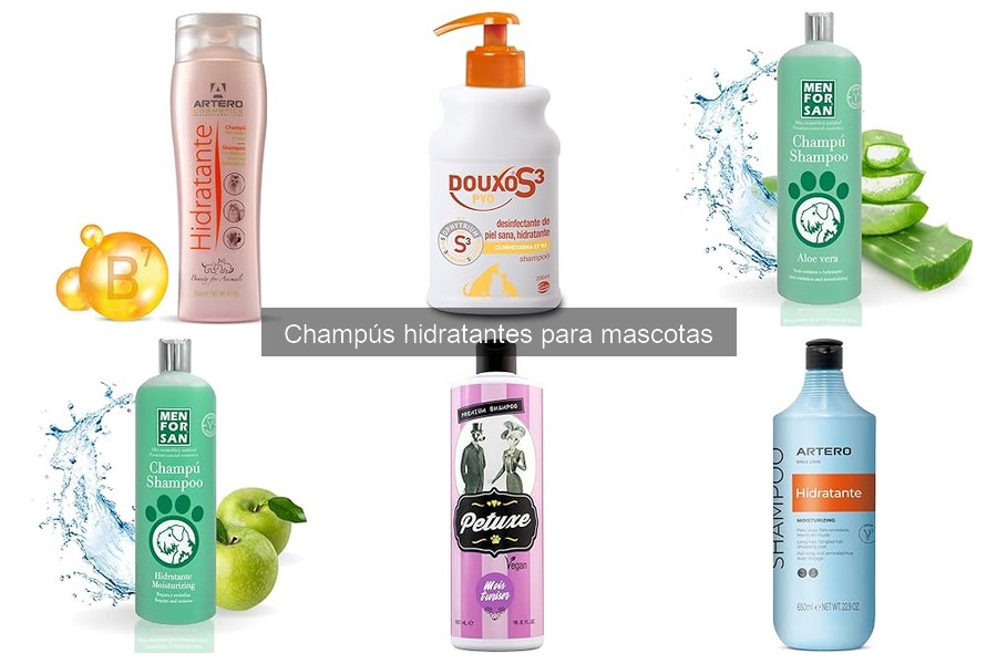 Beneficios de los Champús Hidratantes para Mascotas