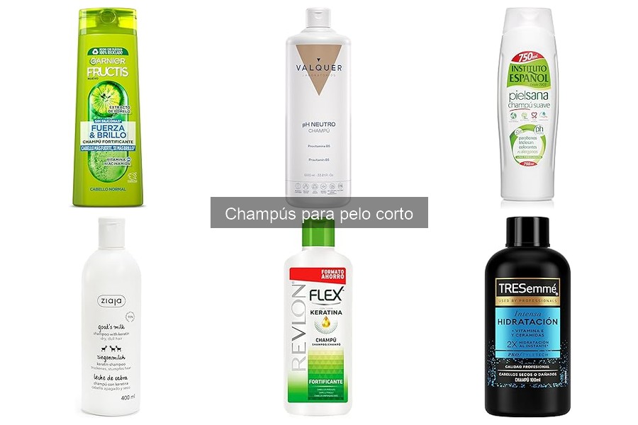 Beneficios de los champús para pelo corto en perros