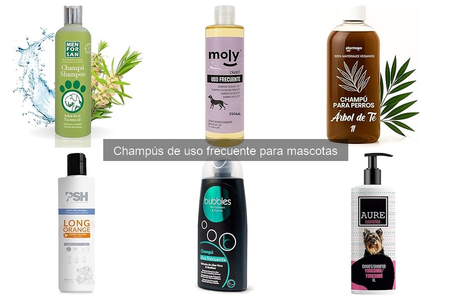 Beneficios de utilizar champús específicos para razas de mascotas