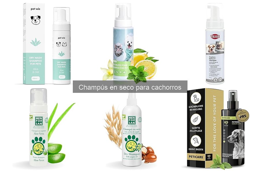 Beneficios del Champú en Seco para Cachorros | Guía Práctica