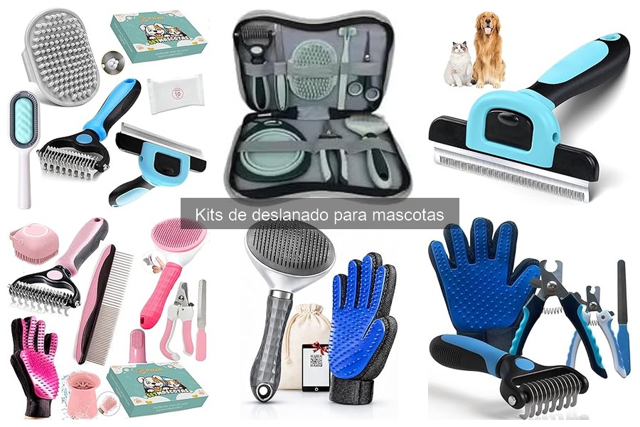 Beneficios del deslanado regular en mascotas para su pelaje