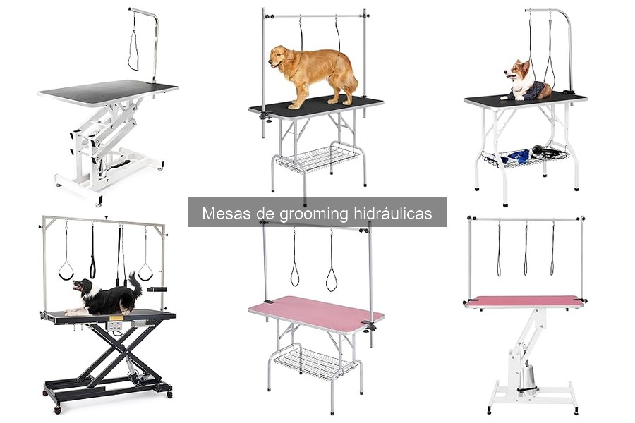 Características de las mesas de grooming hidráulicas para mascotas
