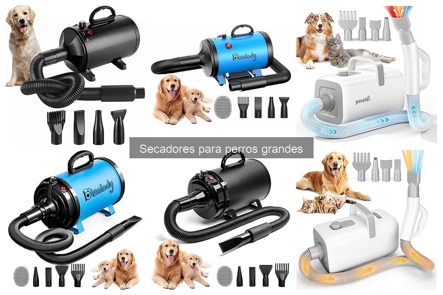 Características esenciales de secadores para perros grandes
