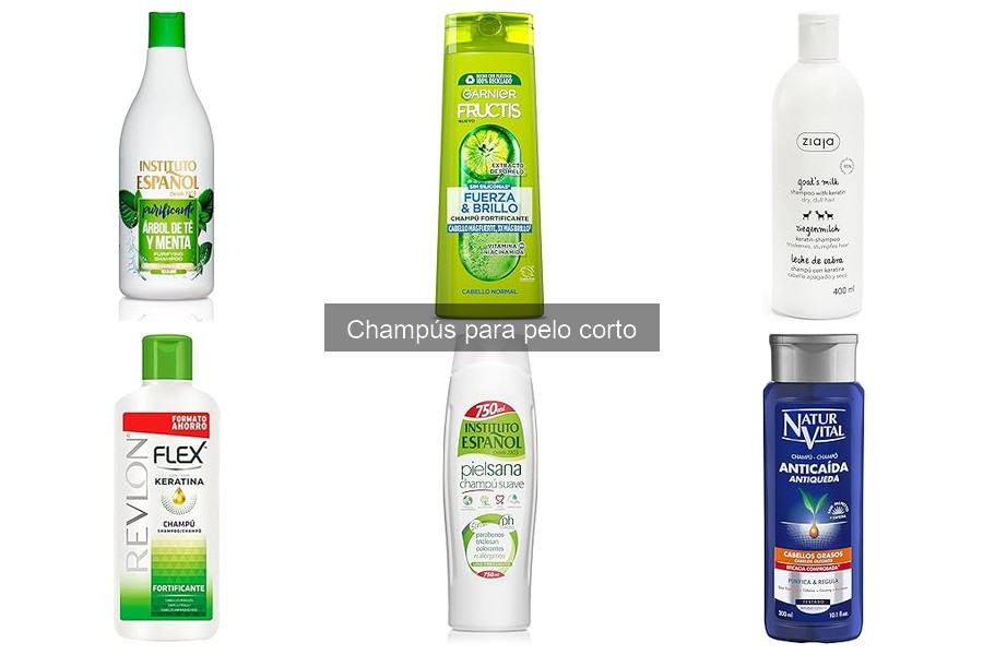 Champús Caseros para Perros de Pelo Corto: Recetas y Beneficios