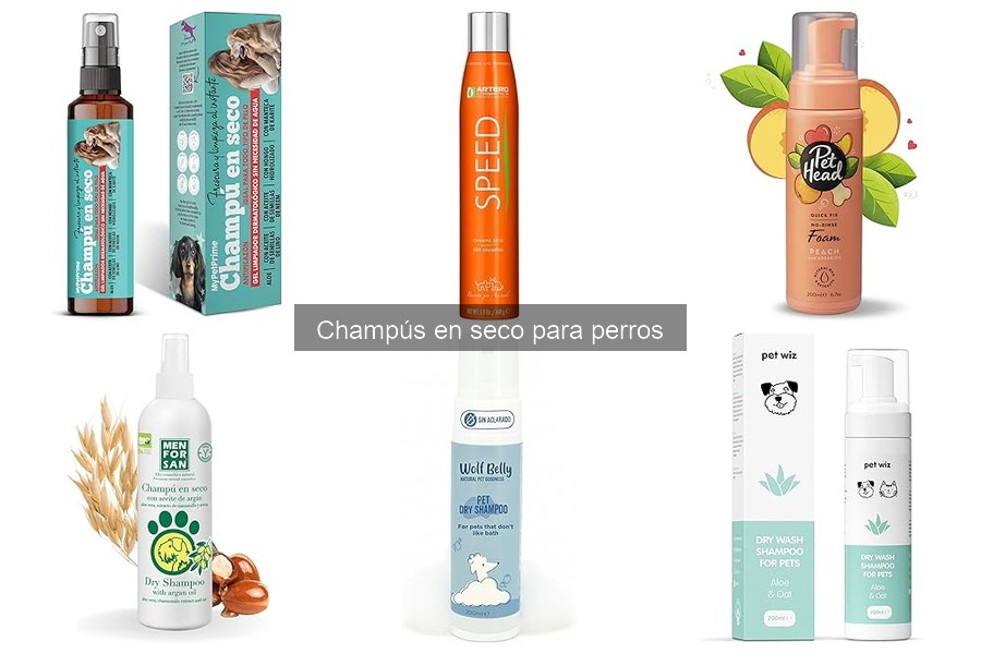 Champús en Seco para Perros con Piel Sensible: Mejores Opciones