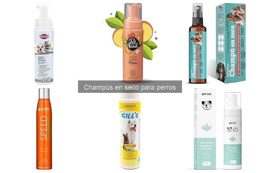 Champús en Seco para Perros: ¿Son Realmente Efectivos?