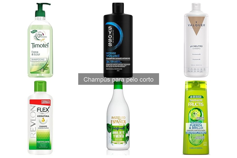 Champús ideales para perros de pelo corto: características y beneficios