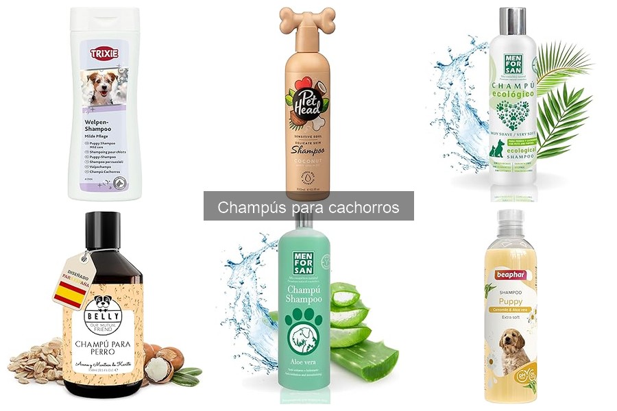 Champús para Cachorros: Dónde Comprarlos a Buen Precio