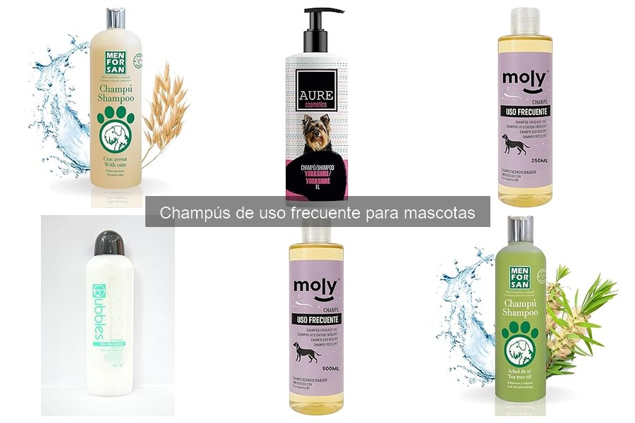 Champús para mascotas: precios y dónde comprarlos