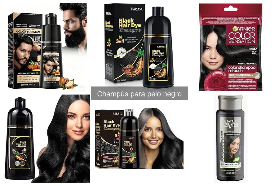 Champús para pelo negro al mejor precio: ¡ofertas y descuentos!