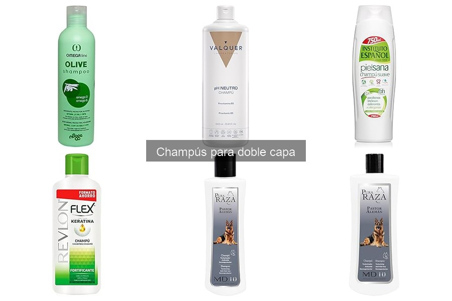 Champús para perros de doble capa: ¿Qué son y sus beneficios?