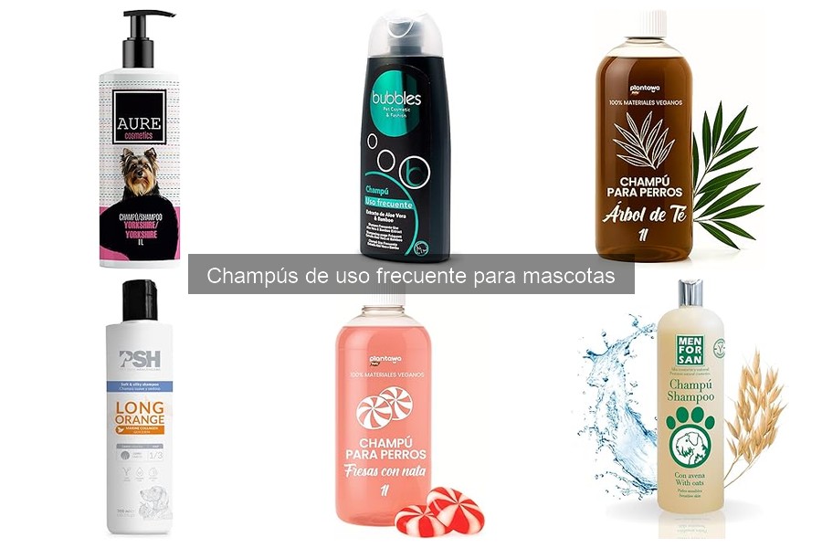 Champús seguros para el baño frecuente de mascotas