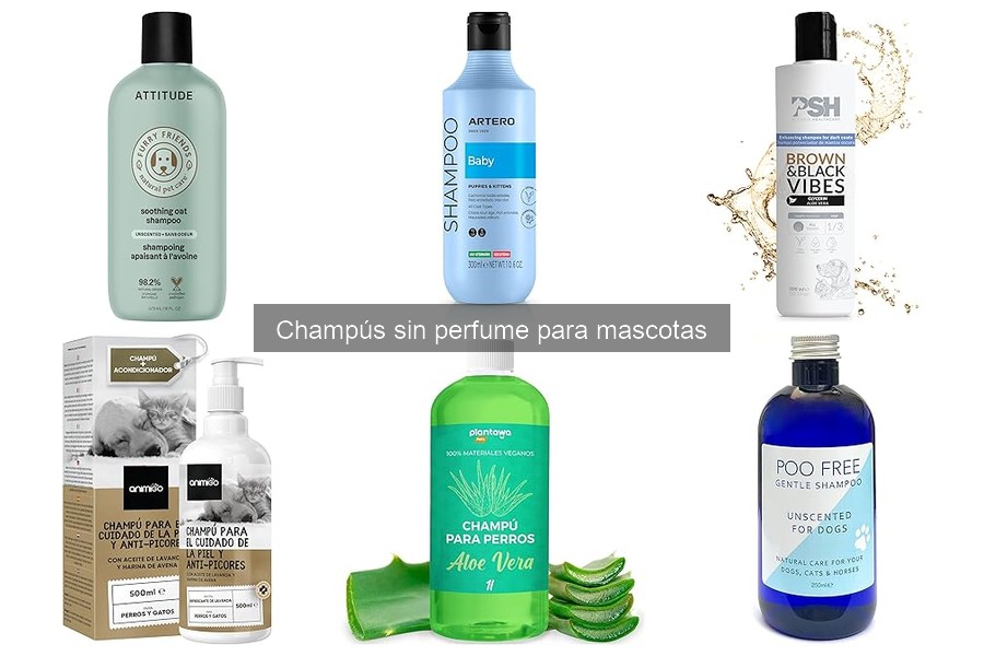 Champús sin perfume para mascotas: Beneficios y características