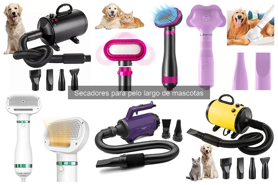 Cómo Acostumbrar a tu Mascota al Secador de Pelo