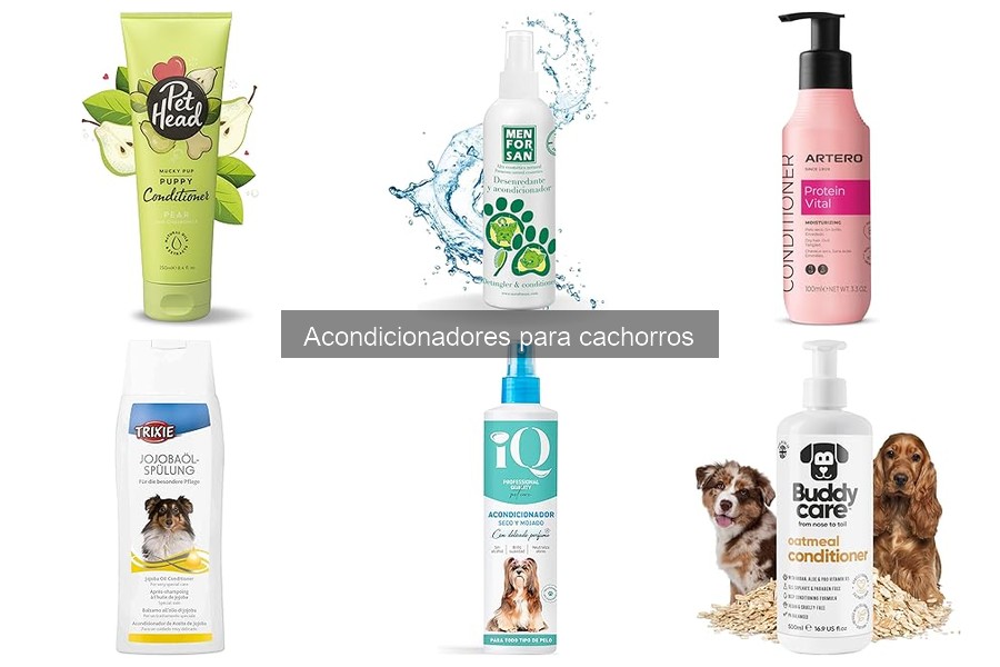 Cómo actuar si tu cachorro es alérgico a acondicionadores