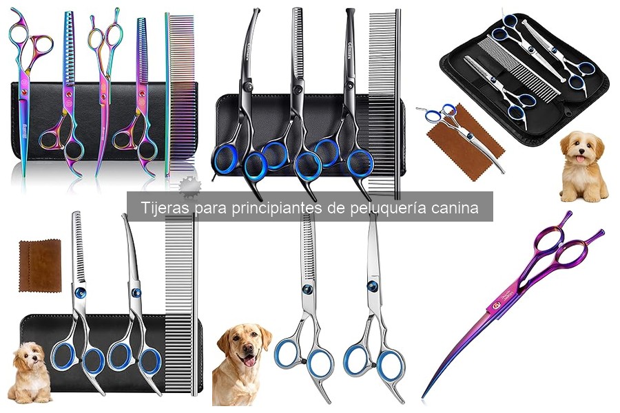 Cómo adaptar tijeras de peluquería a distintos pelajes caninos