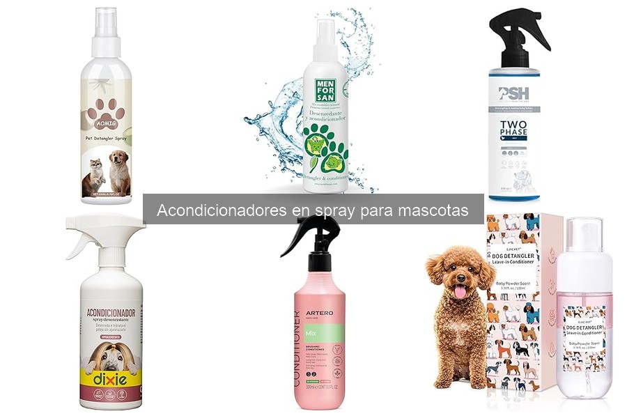 Cómo aplicar acondicionador en spray a tu mascota correctamente