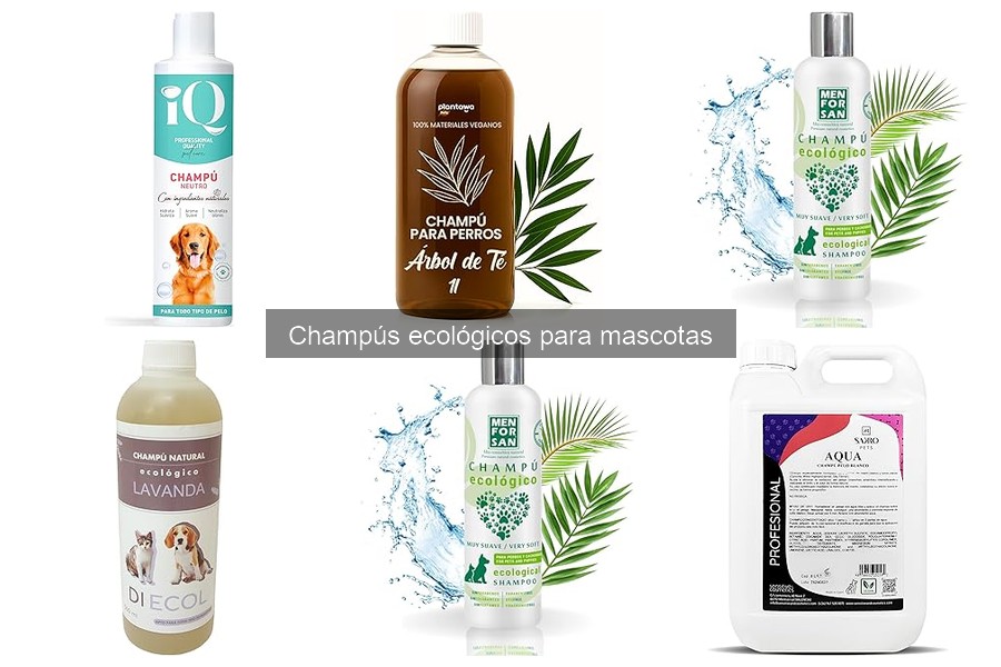 Cómo aplicar correctamente champú ecológico a tu mascota
