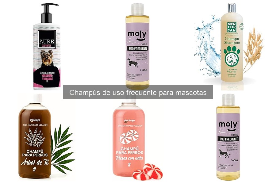 Cómo aplicar correctamente el champú para mascotas