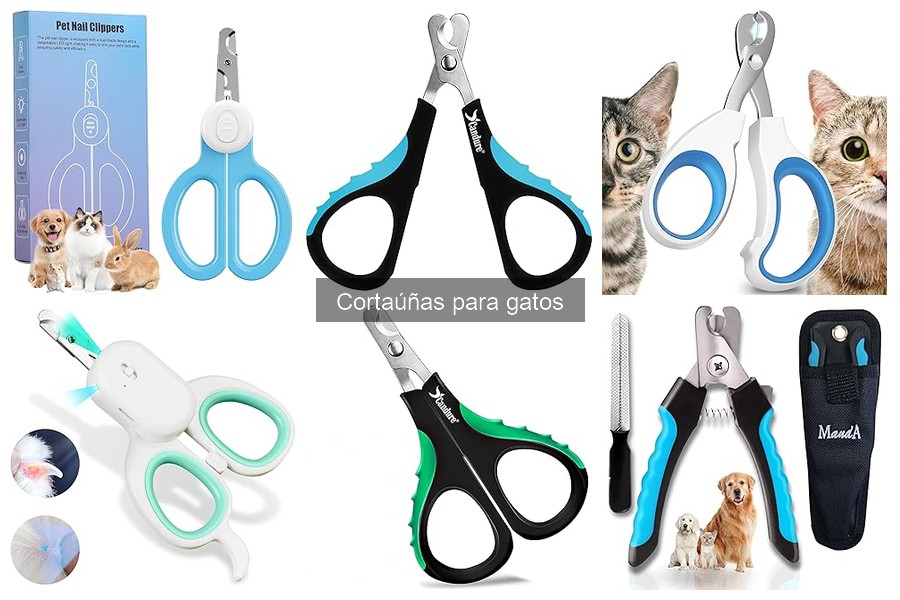 Cómo ayudar a tu gato a aceptar el cortaúñas