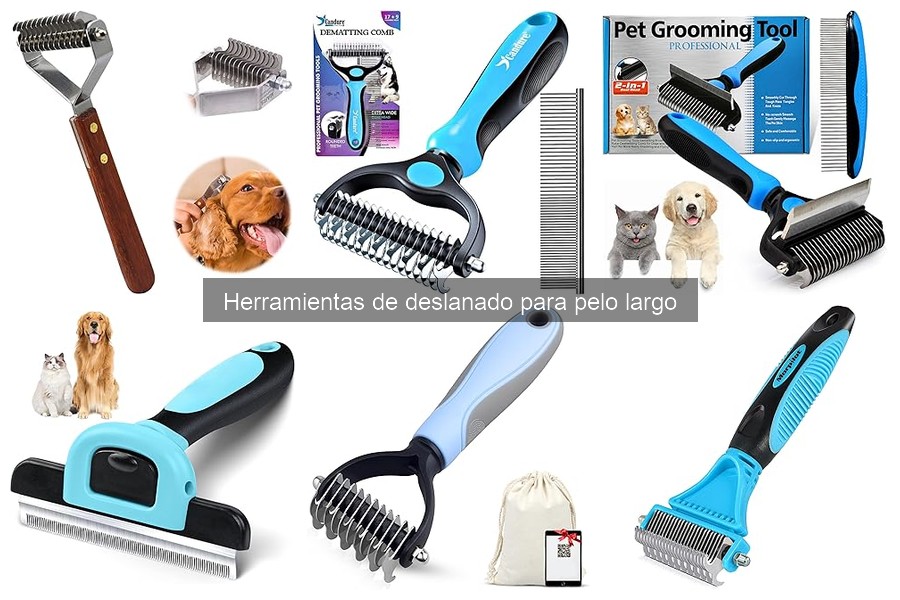 Cómo ayudar a tu perro a tolerar el deslanado en casa
