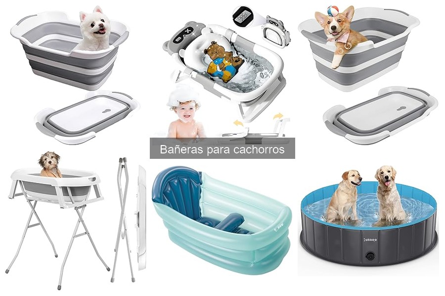 Cómo bañar a tu cachorro en casa con una bañera fácil