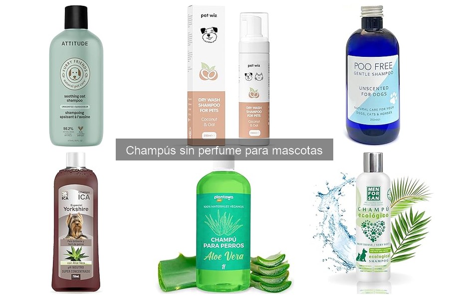 Cómo bañar a tu mascota con champús sin perfume fácilmente