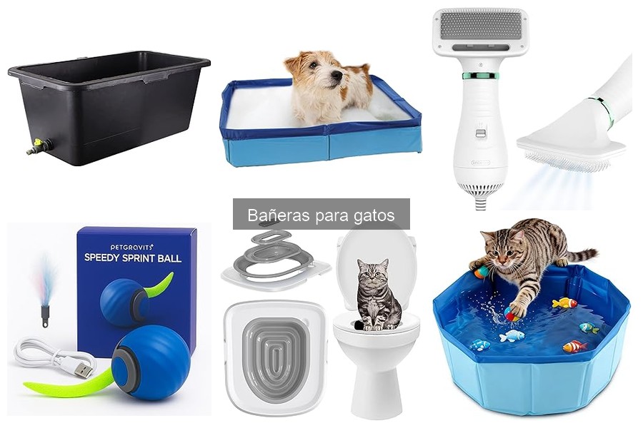 Cómo bañar a un gato en casa: Guía con bañera ideal