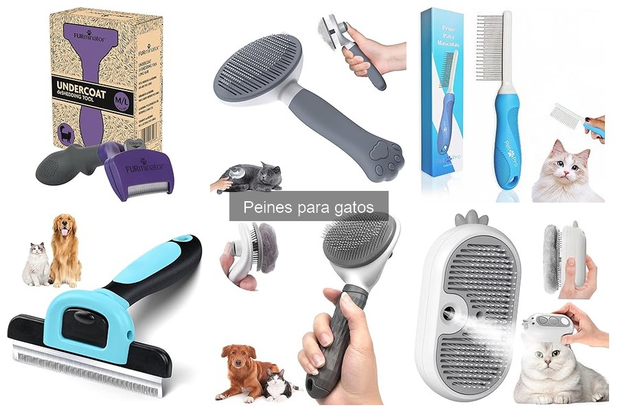 Cómo cuidar y mantener peines para gatos eficazmente