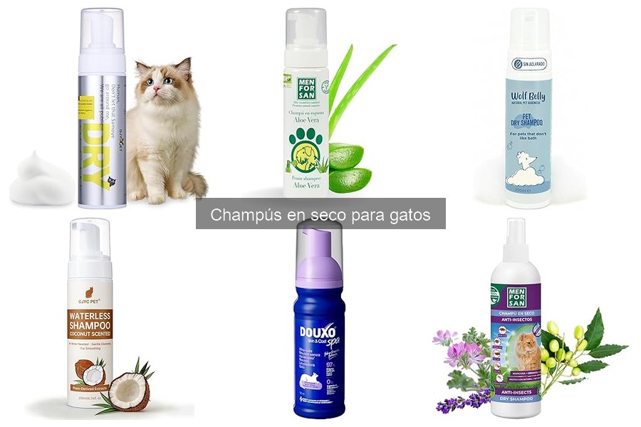 Cómo elegir champús en seco para gatos según su edad