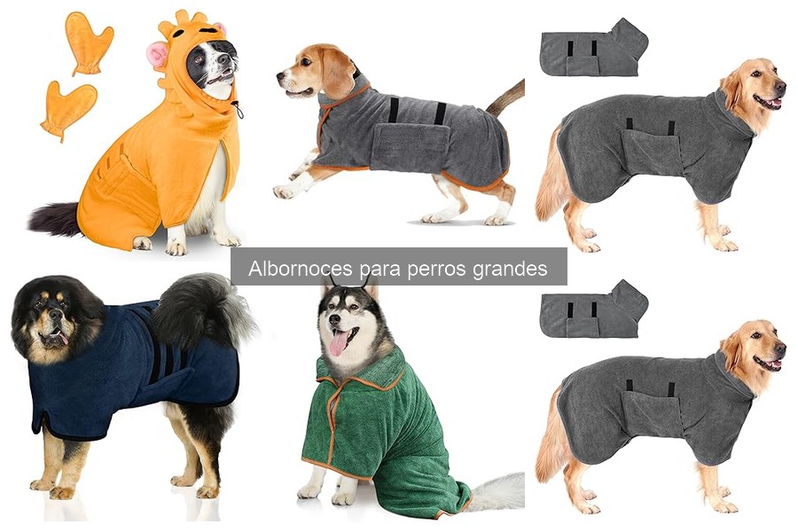 Cómo elegir el albornoz ideal para perros grandes