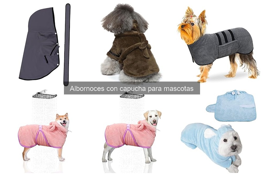 Cómo elegir el mejor albornoz con capucha para mascotas