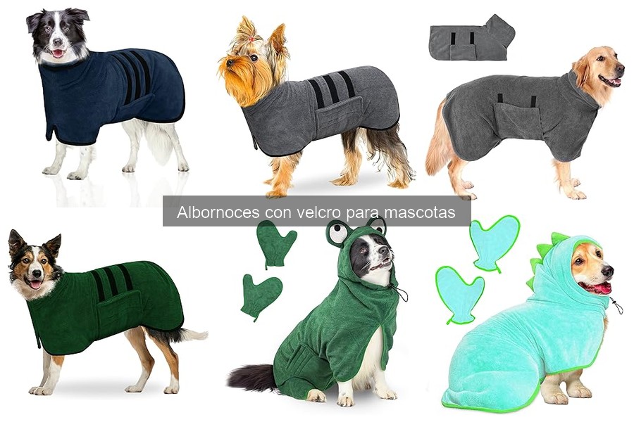 Cómo elegir el mejor albornoz con velcro para mascotas