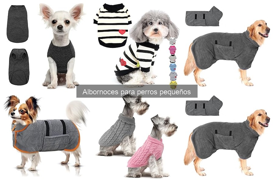 Cómo Elegir el Mejor Albornoz para Perros Pequeños