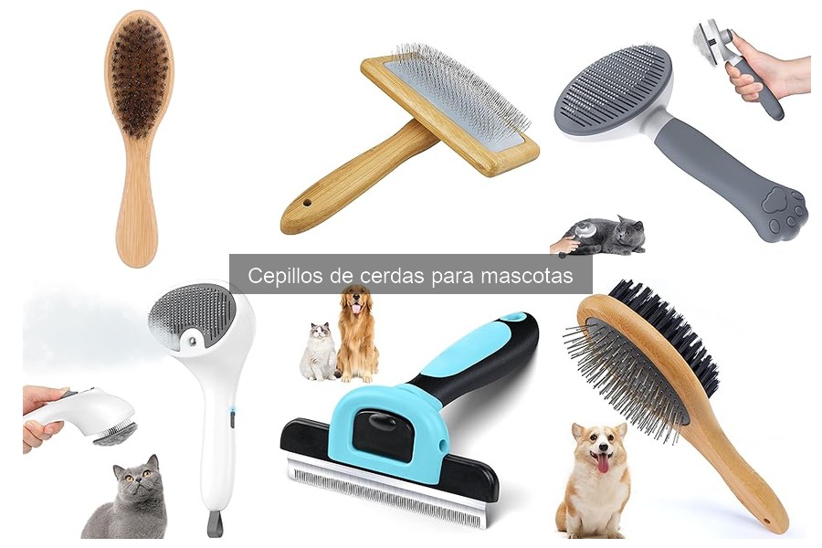 Cómo elegir el mejor cepillo de cerdas para tu mascota