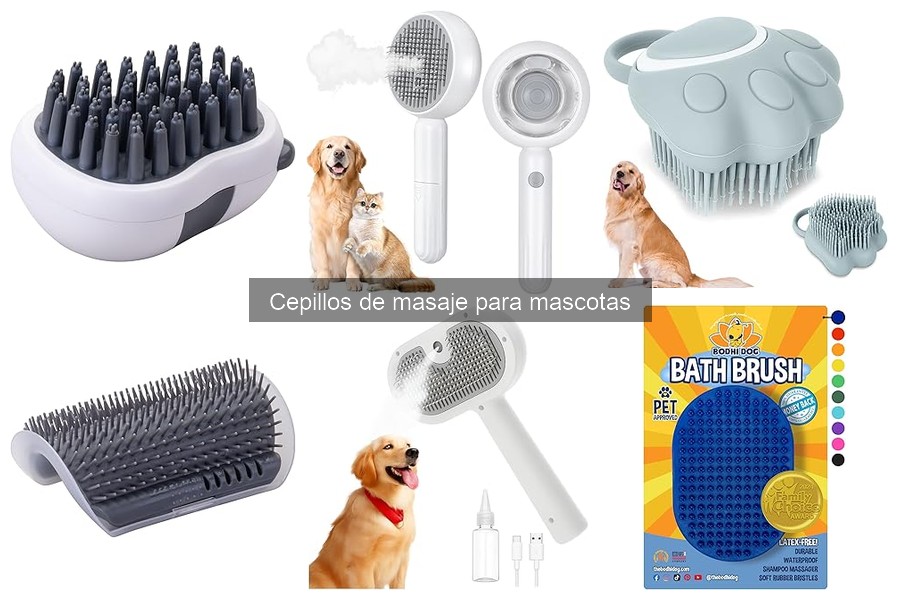Cómo elegir el mejor cepillo de masaje para tu mascota