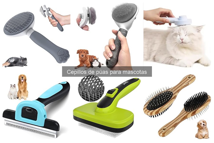 Cómo elegir el mejor cepillo de púas para tu mascota