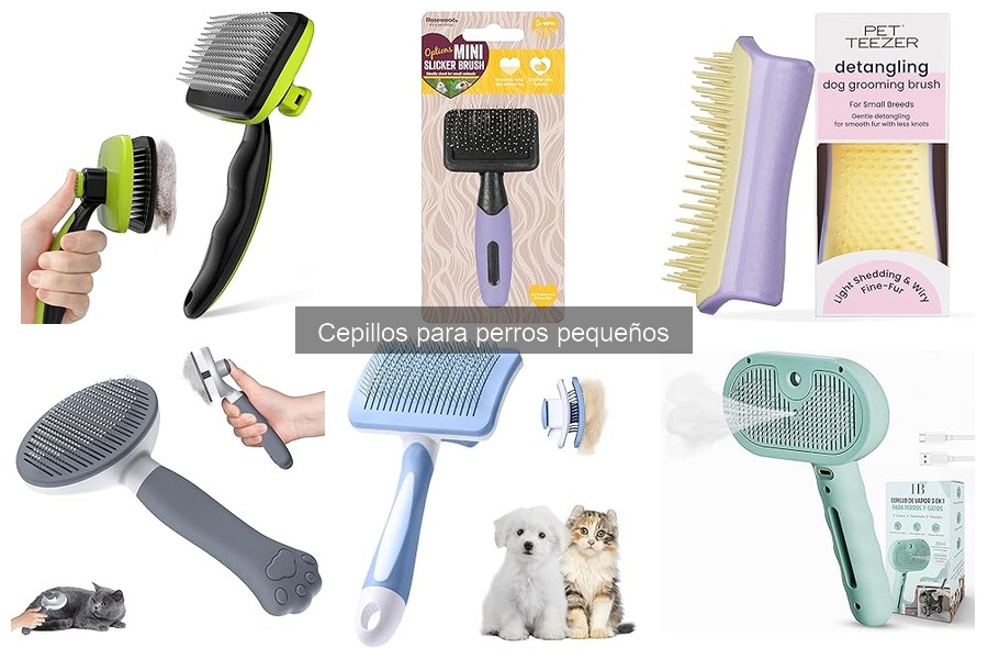 Cómo Elegir el Mejor Cepillo para Perros Pequeños