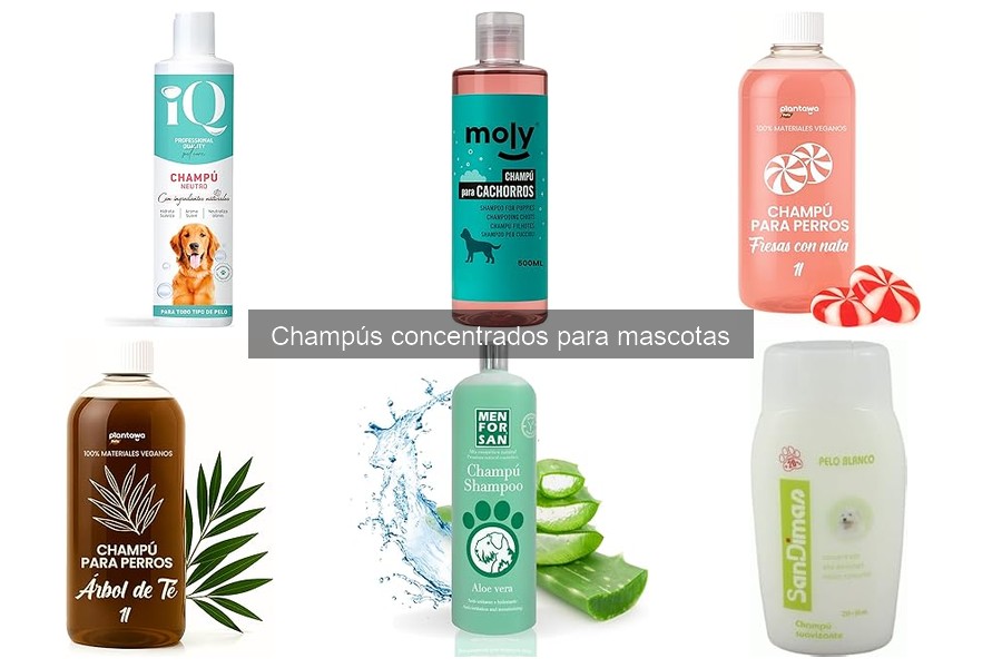 Cómo elegir el mejor champú concentrado para mascotas