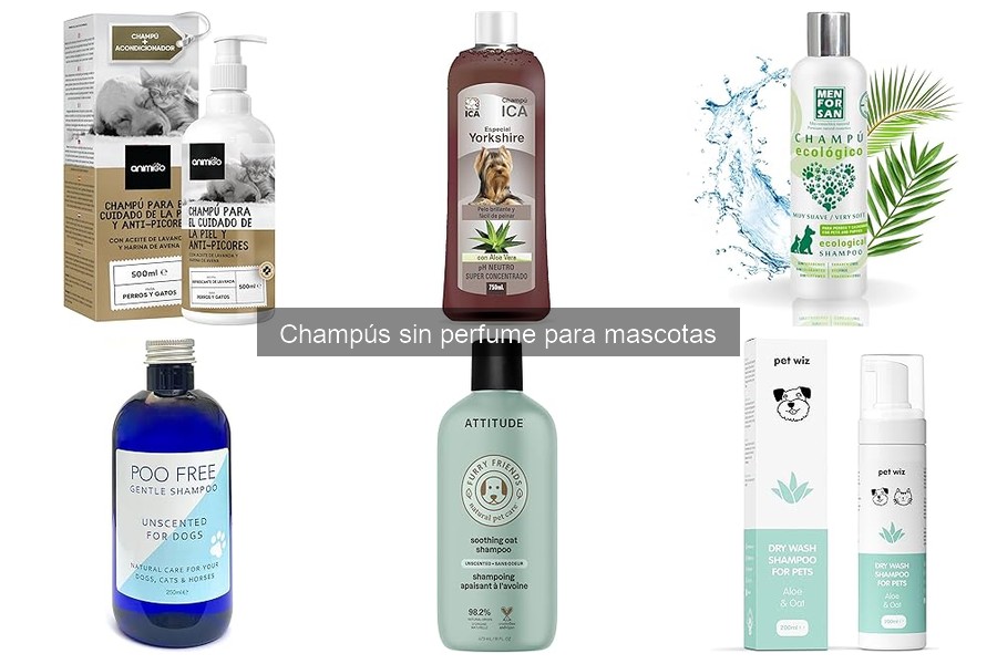 Cómo elegir el mejor champú sin perfume para tu mascota