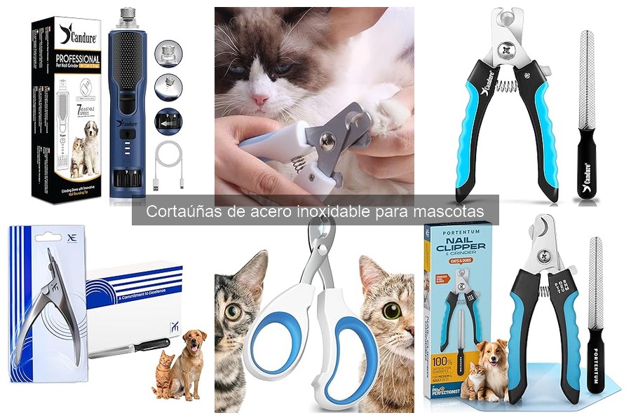 Cómo elegir el mejor cortaúñas de acero inoxidable para mascotas