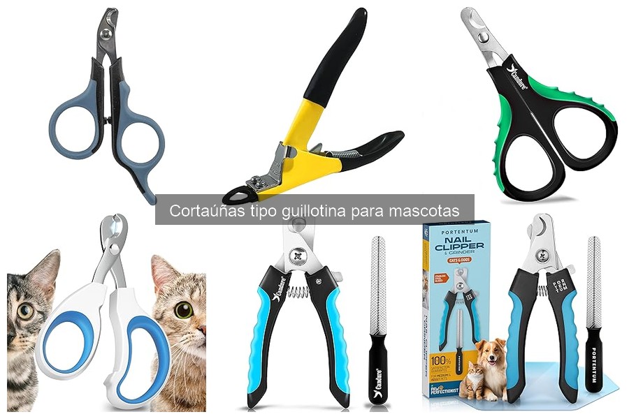 Cómo elegir el mejor cortaúñas guillotina para tu mascota