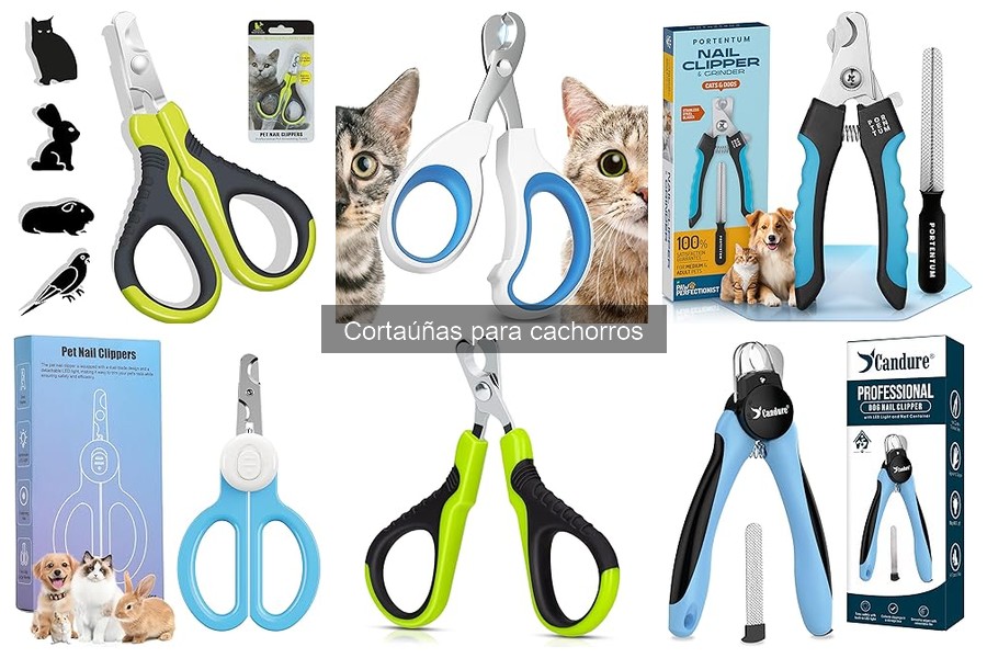 Cómo elegir el mejor cortaúñas para cachorros: guía 2023