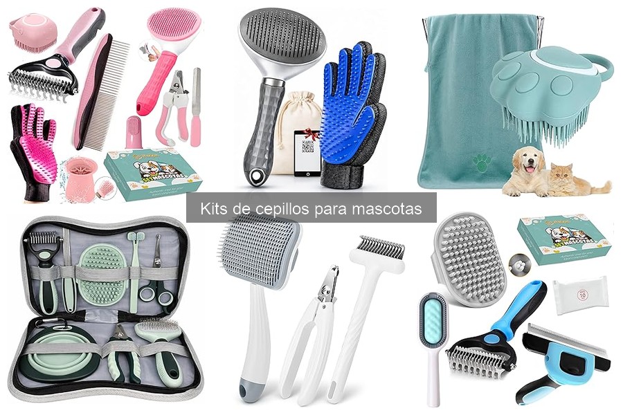 Cómo elegir el mejor kit de cepillos para mascotas